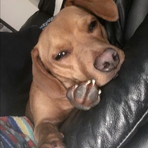 Meet your Posher, Alec